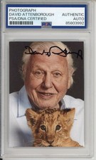 DAVID ATTENBOROUGH SIGNED AUTOGRAPH PLANET EARTH BABY LION PICTURE PSA DNA COA