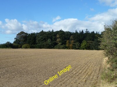 Photo 6x4 Jubilee Plantation East Harlsey Reference to old maps suggests  c2011
