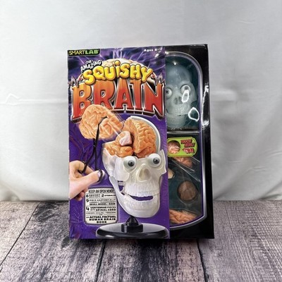 2012 The Amazing Squishy Brain Smart Lab Educational Toy NIB NOS