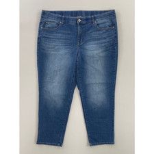 Terra  Sky Womens Skinny Jean Blue Stretch Medium Wash High Rise Denim Plus 18W