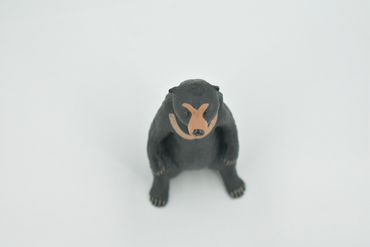Sun Bear, High Quality, Realistic, Figure, Model, Replica, Toy