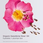 Clarins Lip Comfort Oil 25 Black/Plum Shimmer(PH Reactive)~BNWB~7ml~MSRP $30 — photo 10