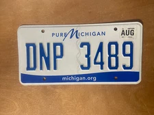 2017 Michigan License Plate Pure Michigan # DNP 3489