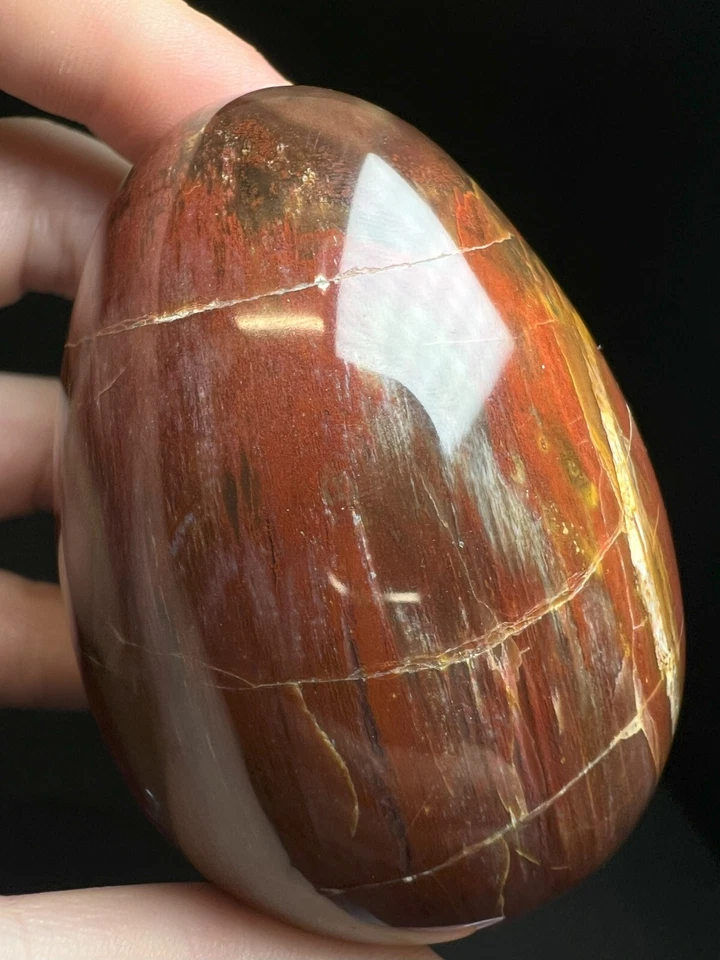 Polished Fossilized wood Egg From Madagascar- Easter Gift, Crystal Healing - Image 4 of 4