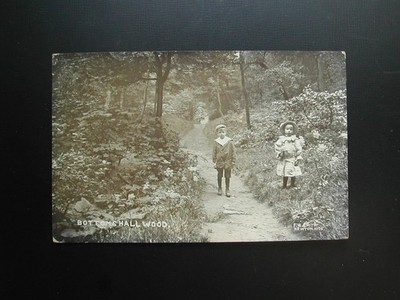 Alte Postkarte '' Bottom Hall Wood Hyde '' 1913