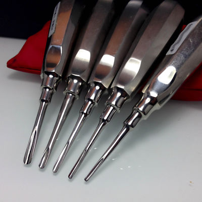 5 Pcs/set Dental Teeth Apical Root Tip Elevator Extraction Straight Stainless