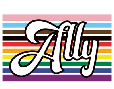 Ally Flag - Double Sided Flag - Progress Pride Flag - LGBTQ+ Gay Pride Trans Pri