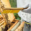 thumbnail 3  - Bee Honeycomb Brush Multi-Purpose Long-Bristle Brush with Wooden Handle