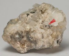 Wolframite Quartz Topaz Tourmaline Steatite Micromount Snail Stone Erzgebirge