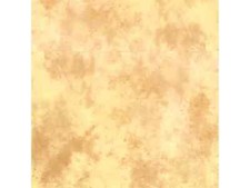 Lastolite Textilhintergrund Arizona 300x350cm...