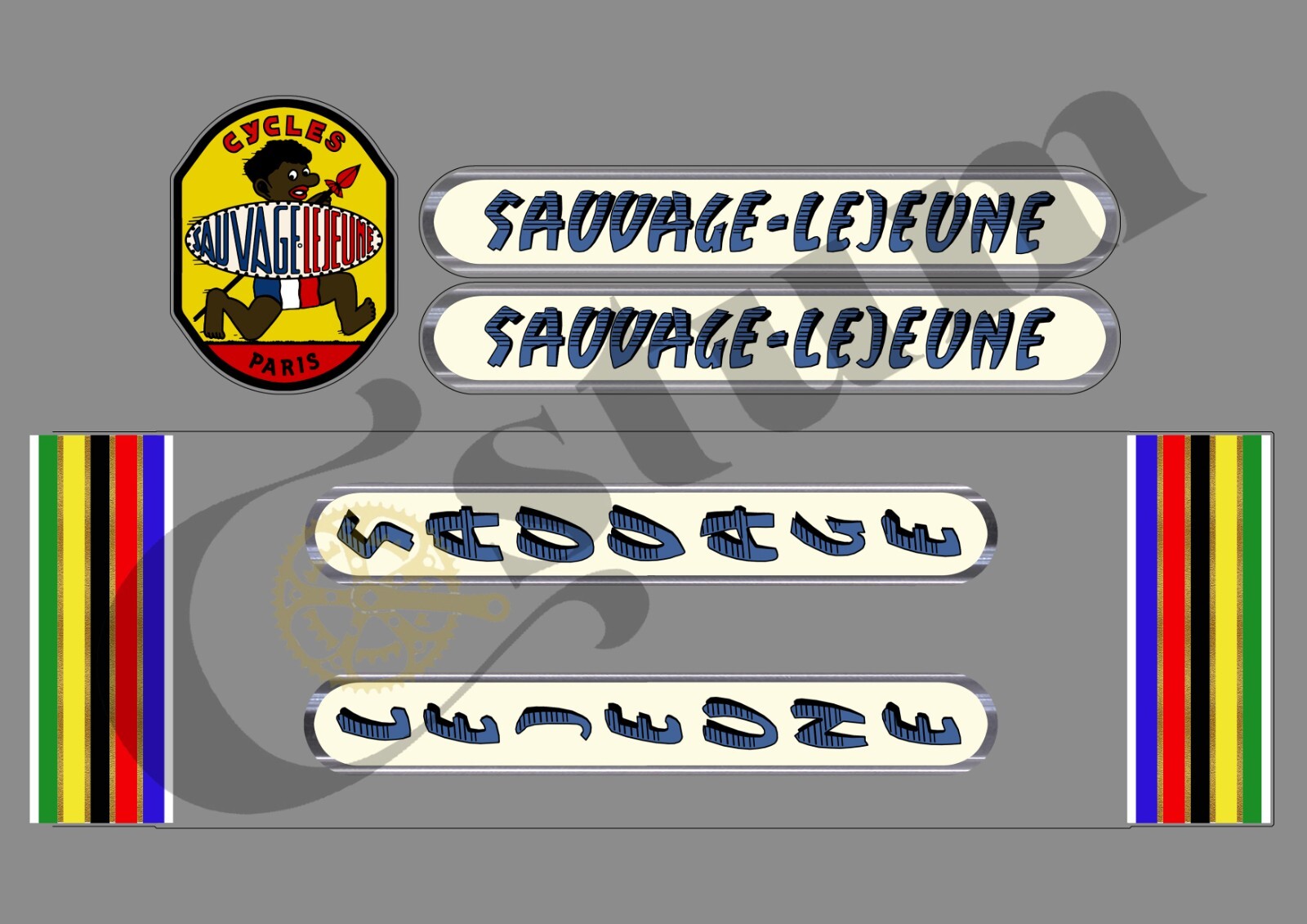 Restaurez un cadre abîmé avec les stickers Sauvage Lejeune SAUV102 pour vélo