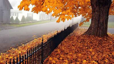 Landscape fall trees fence urban outdoors fallen leaves Custom Gaming Mat Desk