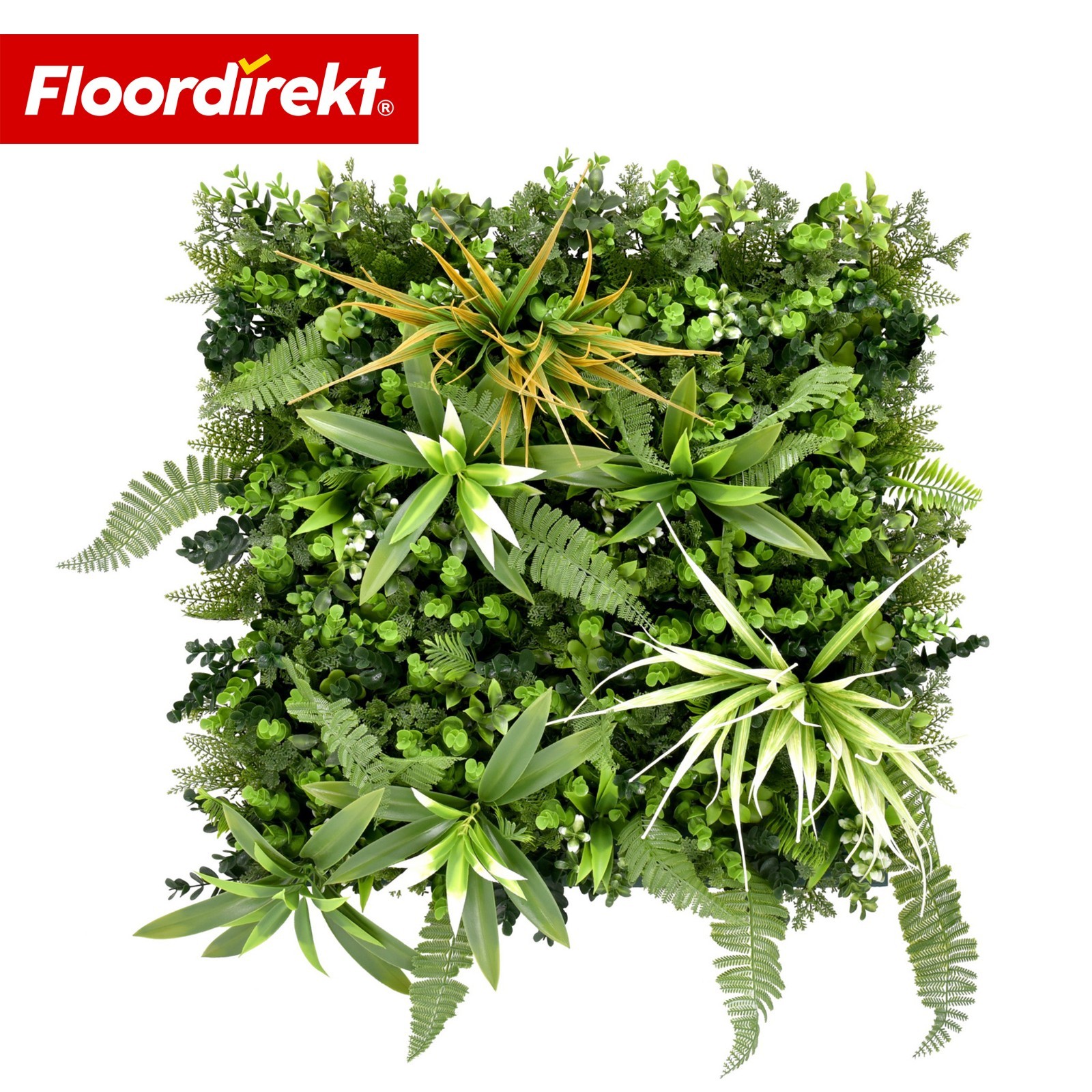 Floordirekt Pflanzenwand Fire Sky pflegefreies Kunstpflanzen Paneel 50 x 50 cm