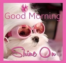 Good Morning Shine On Dog Cute Glasses Pet Love  Refrigerator Fridge MAGNET