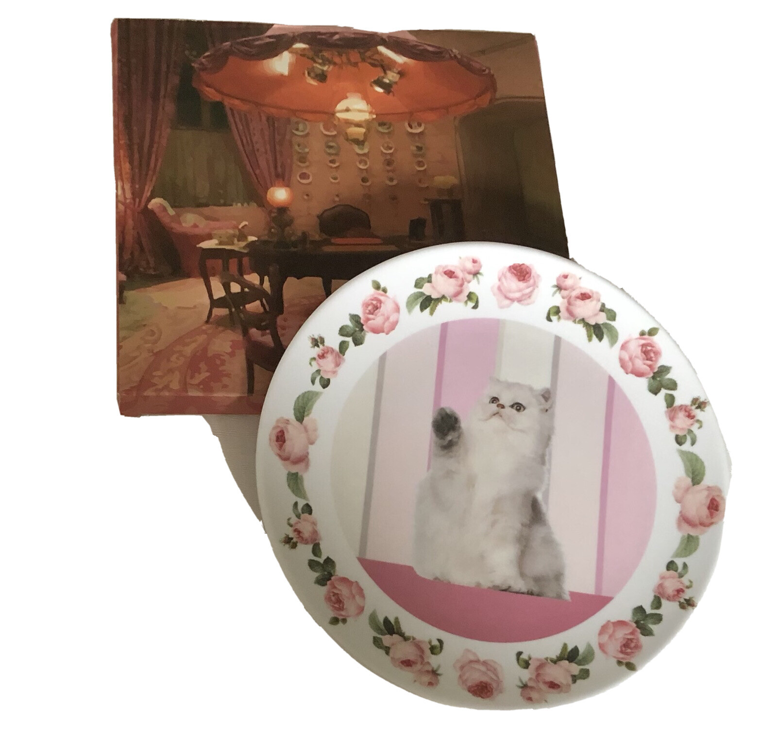 Harry Potter Professor Dolores Umbridge Cat Plate Prop Replica GG Boxed ...