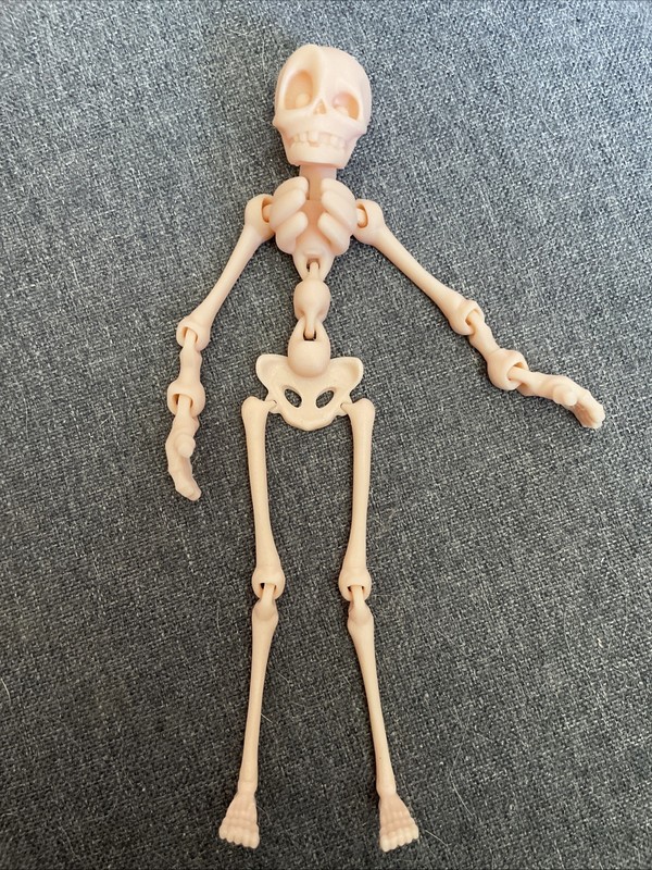 3D Printed Articulated Magnetic Skeleton Refrigerator Magnet 💀 Halloween Decor