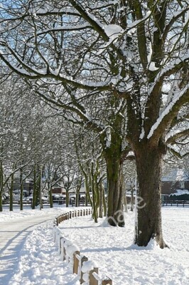 Foto 6x4 Prospect Park Reading Donnerstagmorgen, nach dem schwersten Schnee c2010