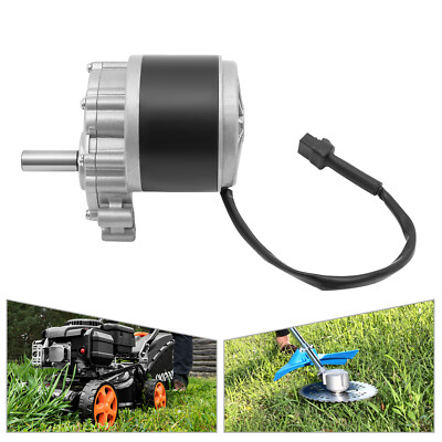 DC MY1016Z 250W 24V Gear Brushed Motor Low Speed Motor Beach Bike Motor 75r/min~
