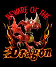 BEWARE Of The Dragon Fire Flames Refrigerator Fridge MAGNET