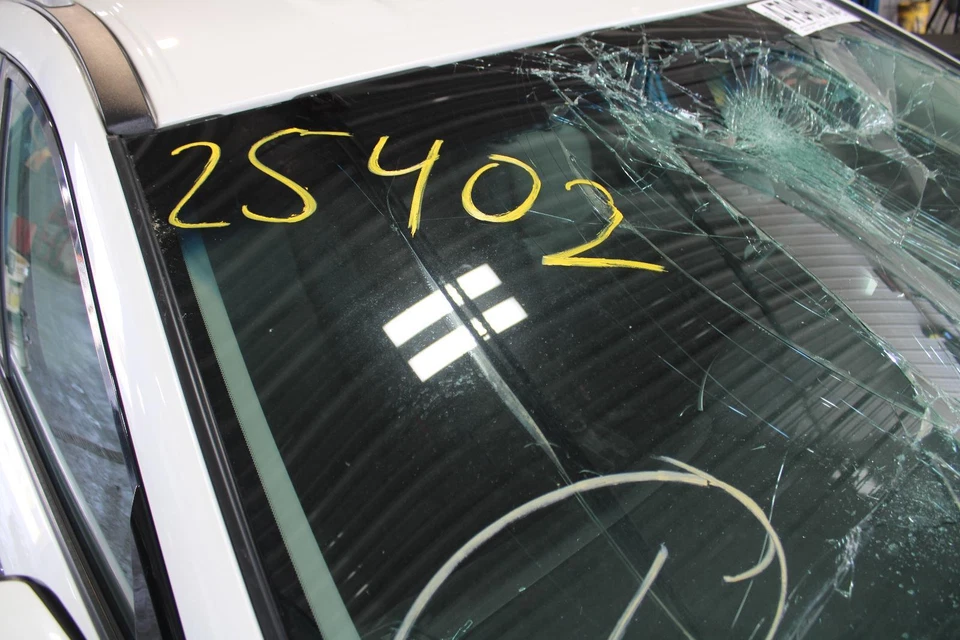 Conjunto de puerta trasera izquierda usado lado trasero se adapta a: Nissan Pathfinder 2018 eléctrico sin Foto 4 de 4