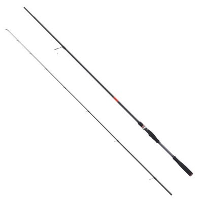 Apia Seabass Rod Foojin RS Sky High 99M (Spinning 2 Piece 