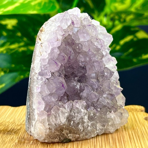 135G Ametista Naturale Geode Quarzo Grappolo Cristallo Esemplare Guarigione - Foto 12 di 16
