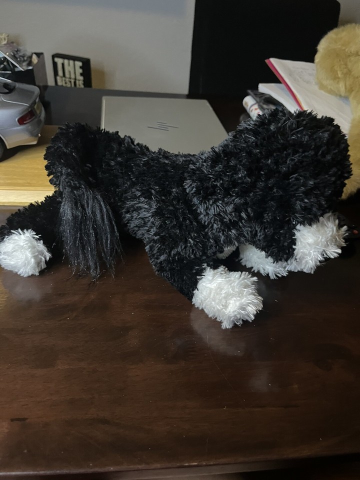 11" Jose Douglas Cuddle Toys Portuguese Water Dog Plush eBay