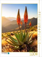 Calvendo Puzzle Aloe In Bloom In Its Natural Habitat | 1000 Pieces, Finished Siz