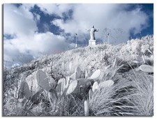 Converted Full Spectrum Infrared  Panasonic G1 12MP Mirrorless M43 Camera   26