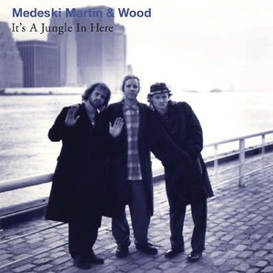 【激レア】MEDESKI MARTIN&WOOD 2LP Orig Medeski Martin Wood Vinyl | eBay