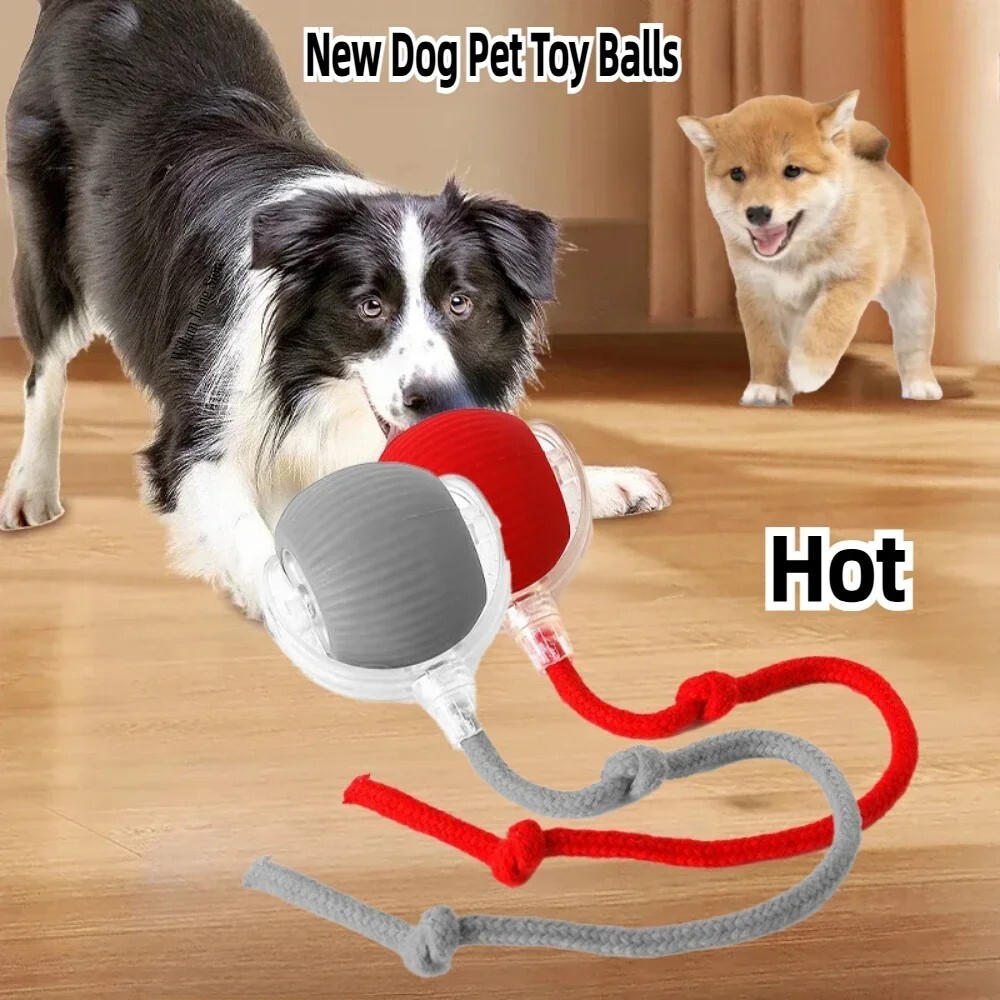 Interactive cat and dog entertainment electric rolling automatic moving toy ball
