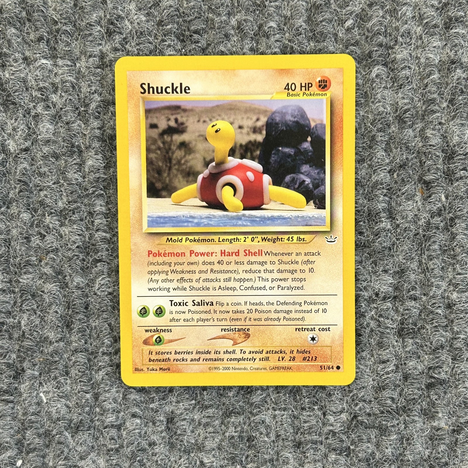 Vintage Pokemon Neo Revelation Shuckle 51/64 Common Very Good