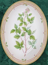 Royal Copenhagen Flora Danica