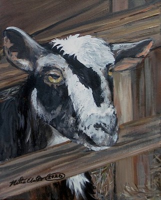 Goat, farm animals, original art, acrylic painting on canvas, 8x10 inches