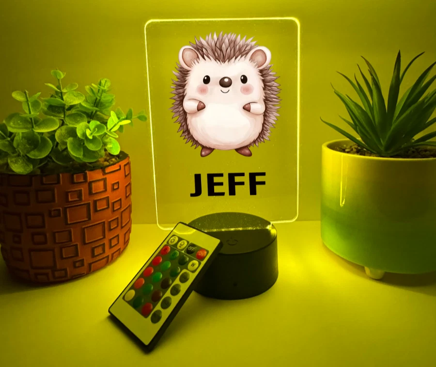 UV Printed Hedgehog Light Up, Personalized FREE, Animal LED Lamp, Kid Friendly - Image 3 of 4