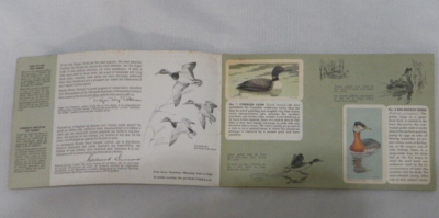 rare tea cards Hornimans Tea Cards 1960s