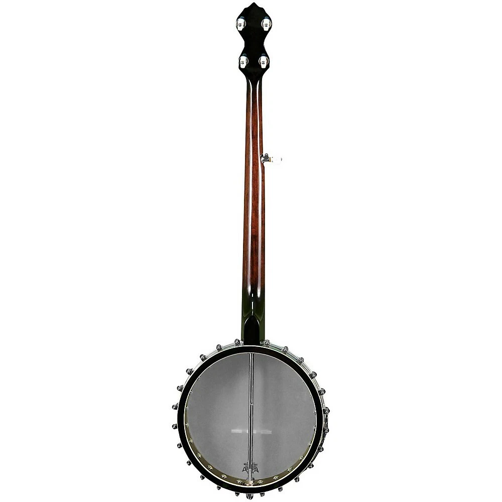 Gold Tone WL 250 White Ladye Openback Banjo Vintage Brown eBay