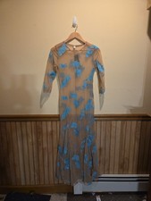 Nude Sheer Amd Blue Embroidered Flowers. Dress Size Med