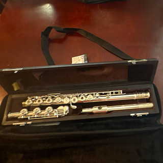 Di Zhao 500RBOE Concert Flute Open Hole C Boehm Silver Plated Case