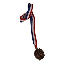 Gymnastics Medal Rings And Pommel Horse Bronze Color