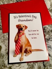 It’s Valentine’s Day Grandson Golden Retriever 5”x7” Hallmark Greeting Card