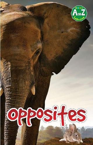 Противоположности Пегаса (Картонбух)