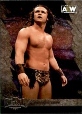 Jungle Boy 2022 SkyBox Metal Universe AEW #15 Pro Wrestling Trading Card