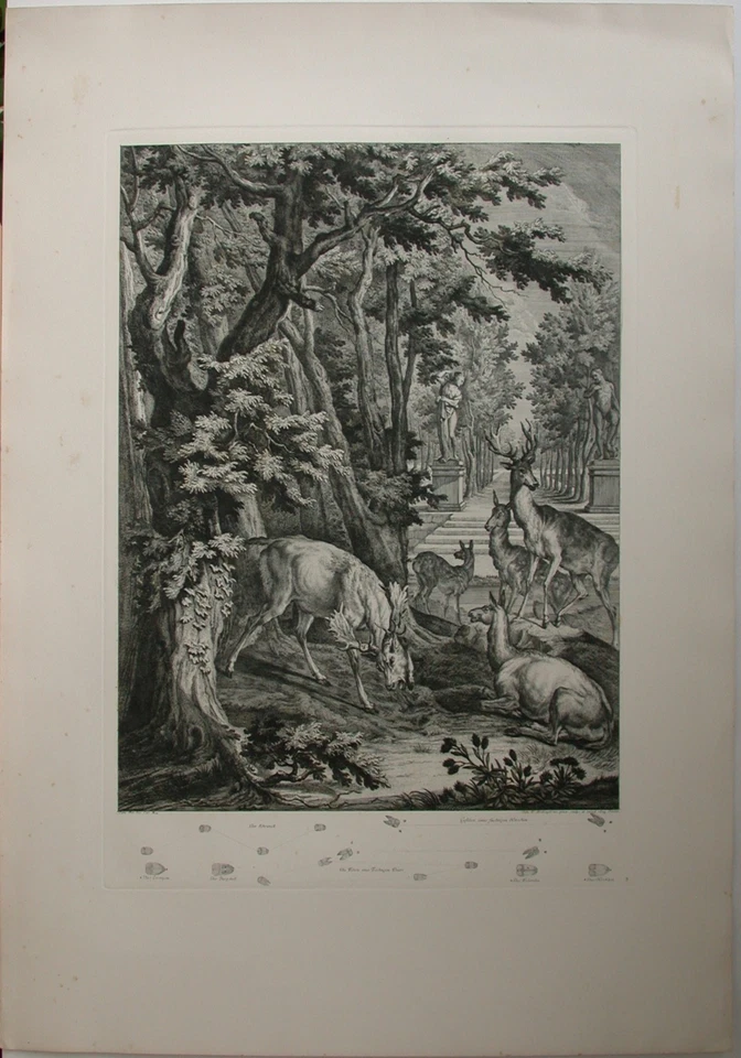 3 Kupferstiche von Johann Elias Ridinger (1698-1767) im repräsentativen Format - Bild 2 von 4