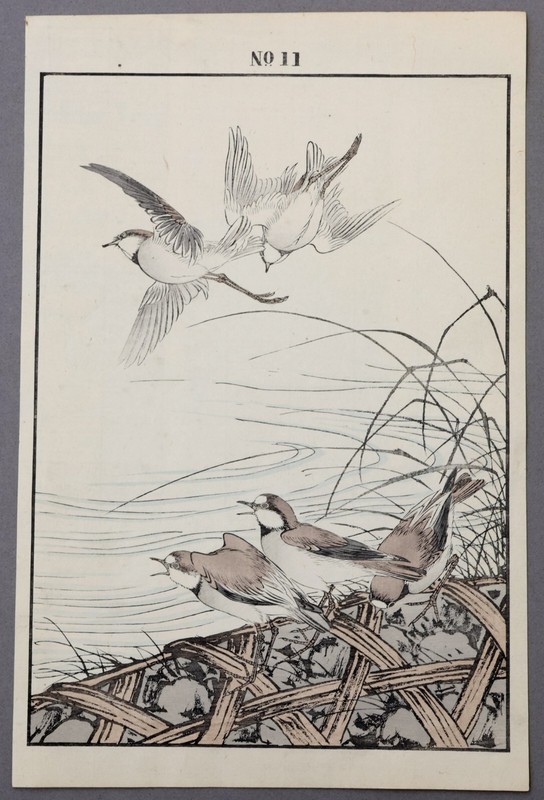 Imao Keinen Japanese Meiji Kacho-e Woodblock Print From Album of Birds & Flowers
