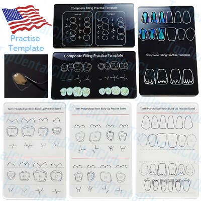 Dental Teeth Morphology Composite Filling Resin Build-Up Practise Board Template