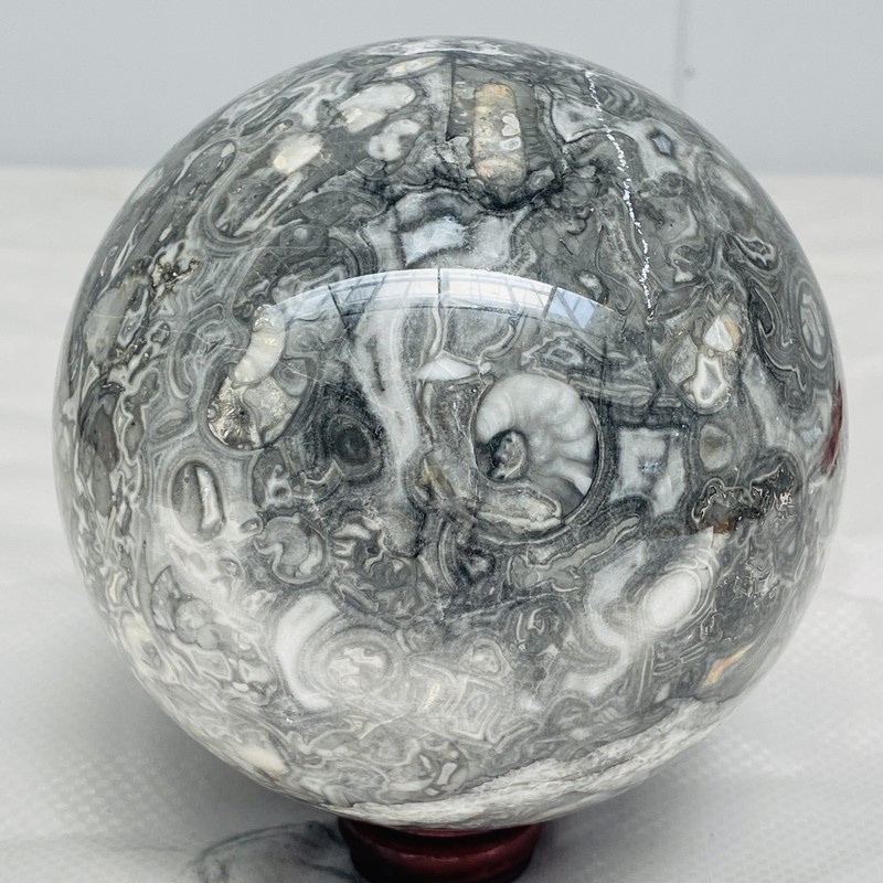 Natural Insectconch fossil crystal Ball Quartz Crystal Sphere Reiki Healing2420G