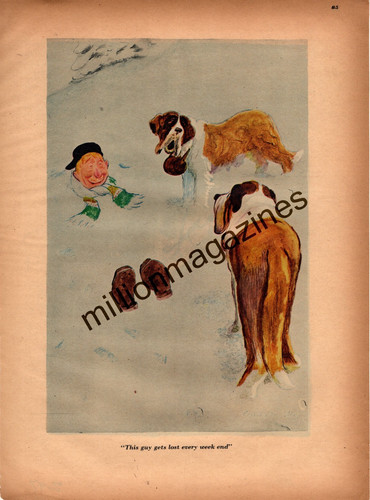 1947 St. Bernard - This guy gets lost every weekend original print from Esquire
