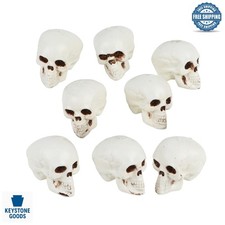 8 Realistic Mini Halloween Skull Decorations  Spooky Tabletop Ornaments