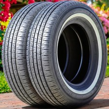 2 Ironman Rb-12 Nws 20570r15 96s All Season Tires